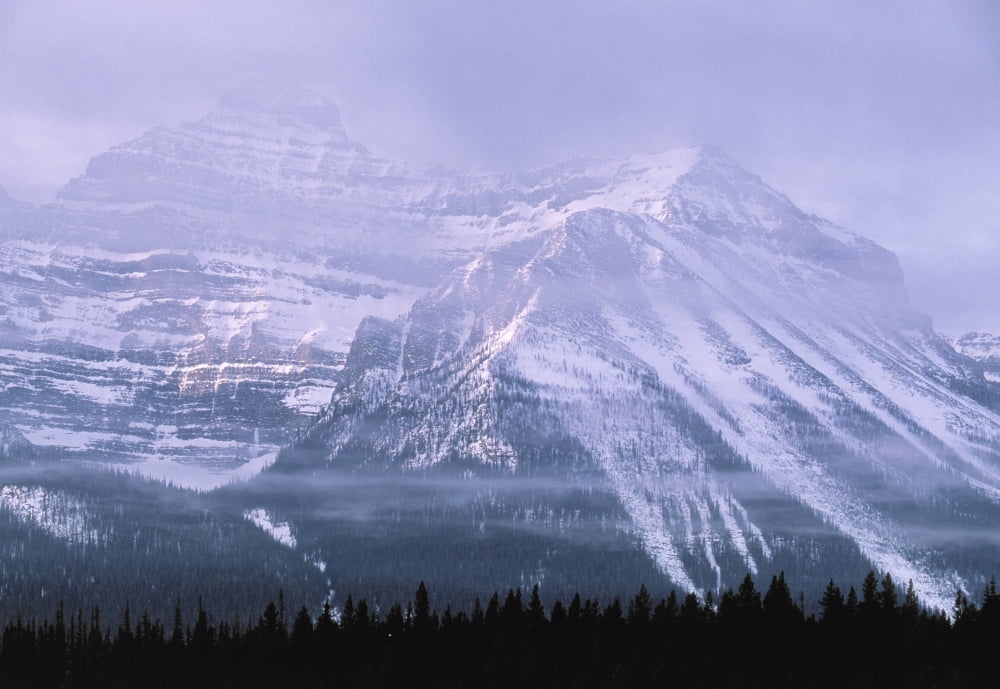 Mt Chephren Banff National Park Alberta Canada Canvas Art - Darwin Wiggett  Design Pics (32 x 22)