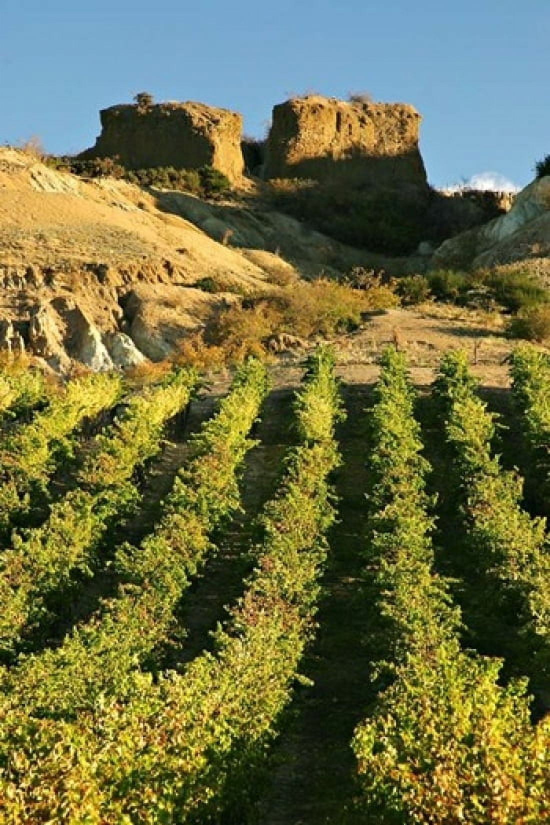 Mt Difficulty Vineyard and Historic Sluicings Bannockburn South Island New Zealand Canvas Art - David Wall DanitaDelimont (24 x 36)