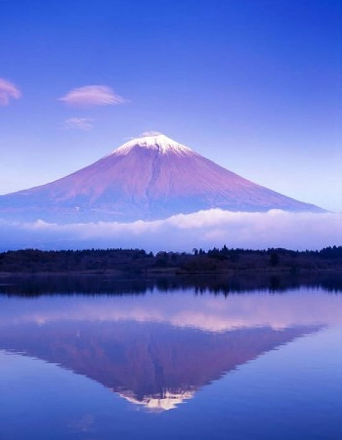 Mt Fuji with Lenticular Cloud Motosu Lake Japan Canvas Art - Rob Tilley DanitaDelimont (18 x 24)