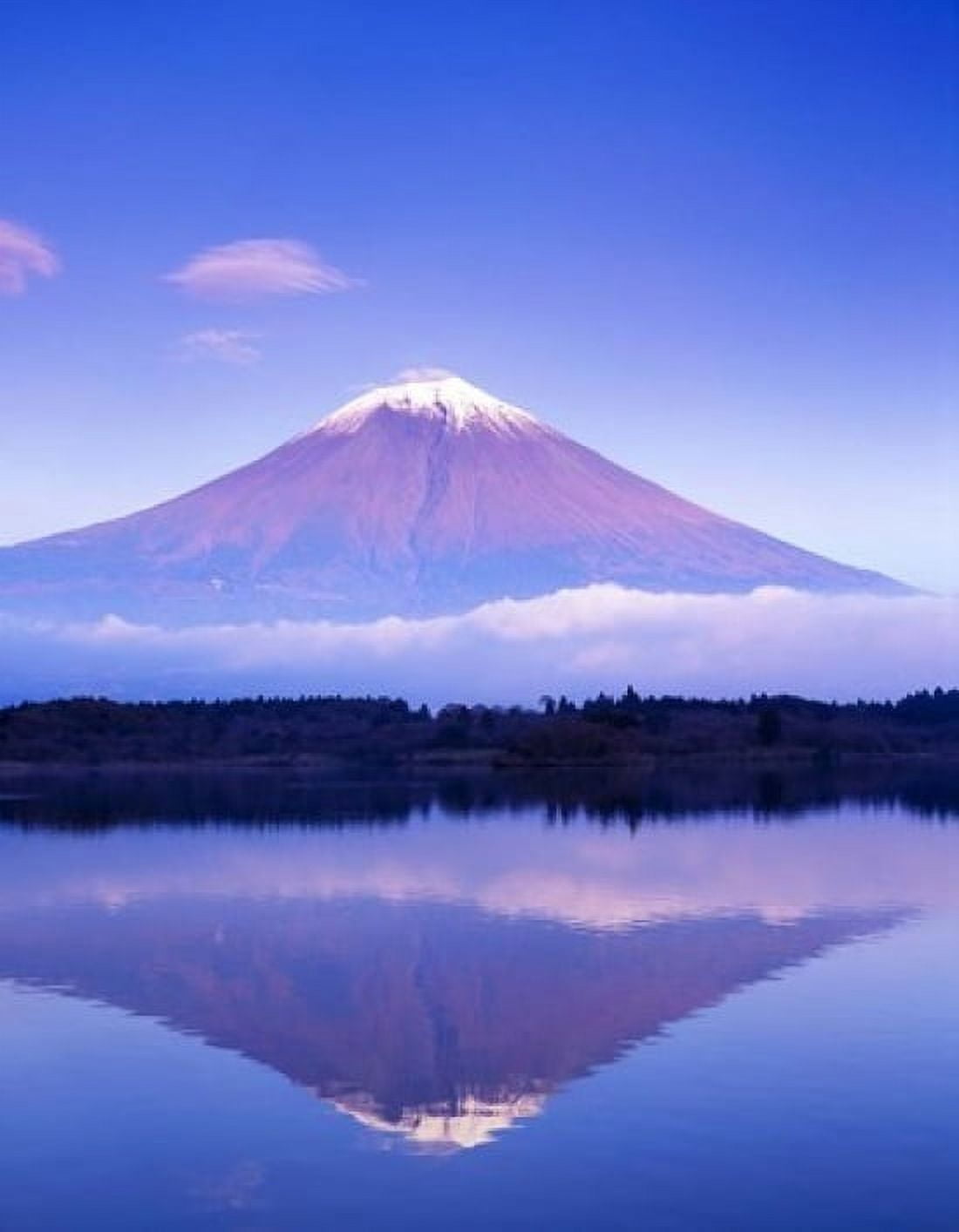 Mt Fuji with Lenticular Cloud Motosu Lake Japan Canvas Art - Rob Tilley DanitaDelimont (23 x 30)