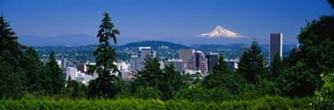 Mt Hood Portland Oregon USA Canvas Art - Panoramic Images (18 x 6)