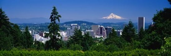 Mt Hood Portland Oregon USA Canvas Art - Panoramic Images (36 x 12)