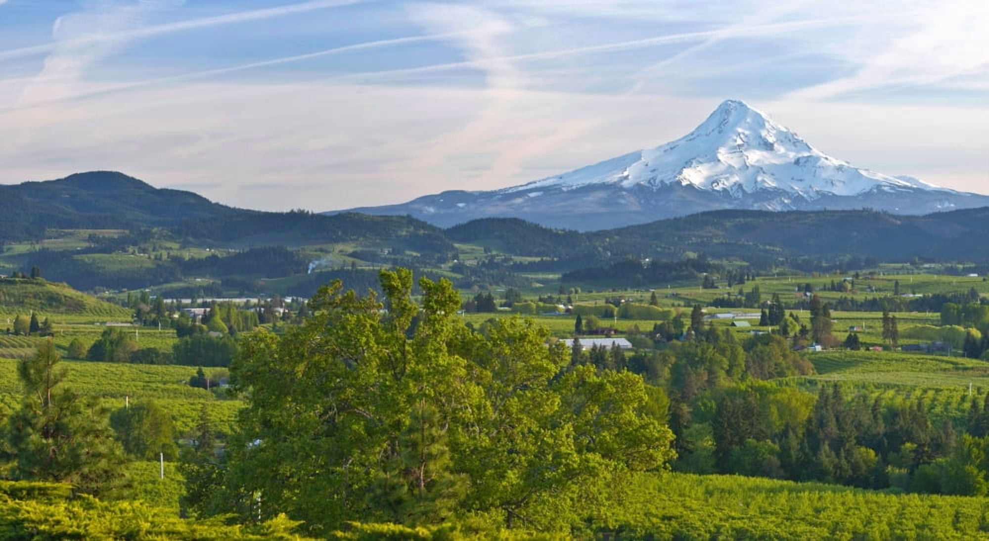 Mt Hood and Hood River Valley in spring Oregon USA Canvas Art - Panoramic Images (36 x 12)