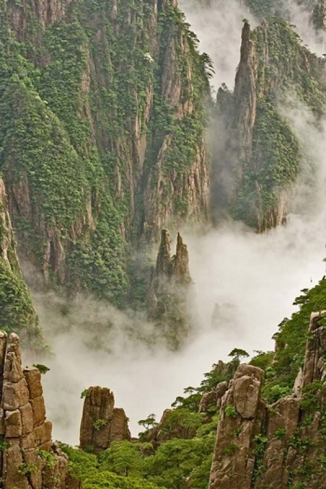 Mt Huang Shan China Canvas Art - Adam Jones DanitaDelimont (11 x 17)