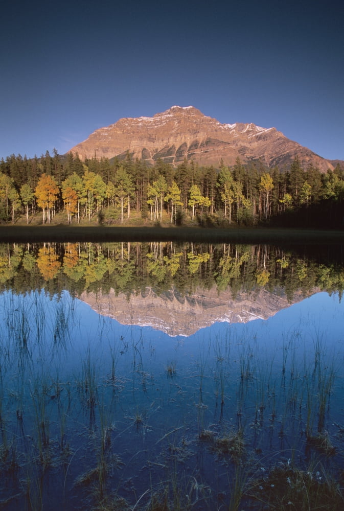 Mt Kerkeslin From Pond Along The Geraldine Lakes Road Jasper National Park Alberta Canvas Art - Darwin Wiggett Design Pics (11 x 17)
