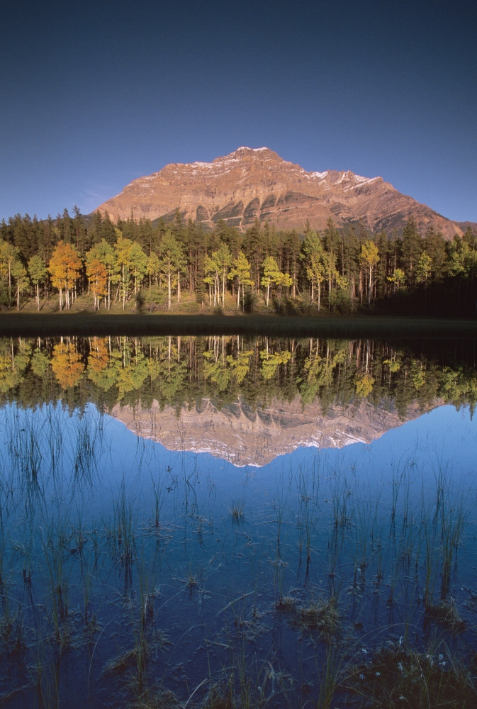 Mt. Kerkeslin From Pond Along The Geraldine Lakes Road, Jasper National
