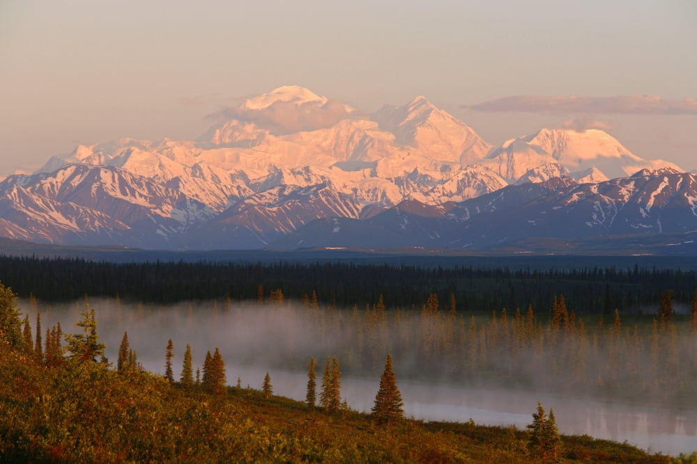 Mt Mckinley Reflected In Small Lake At Sunrise In Broad Pass Alaska Range Denali National Park Alaska Canvas Art - Calvin Hall Design Pics (34 x 22)