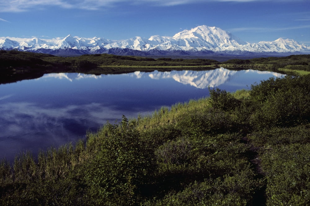 Mt Mckinley Reflected In Tundra Pond Denali Np Ak Canvas Art - Jeff Schultz Design Pics (17 x 11)