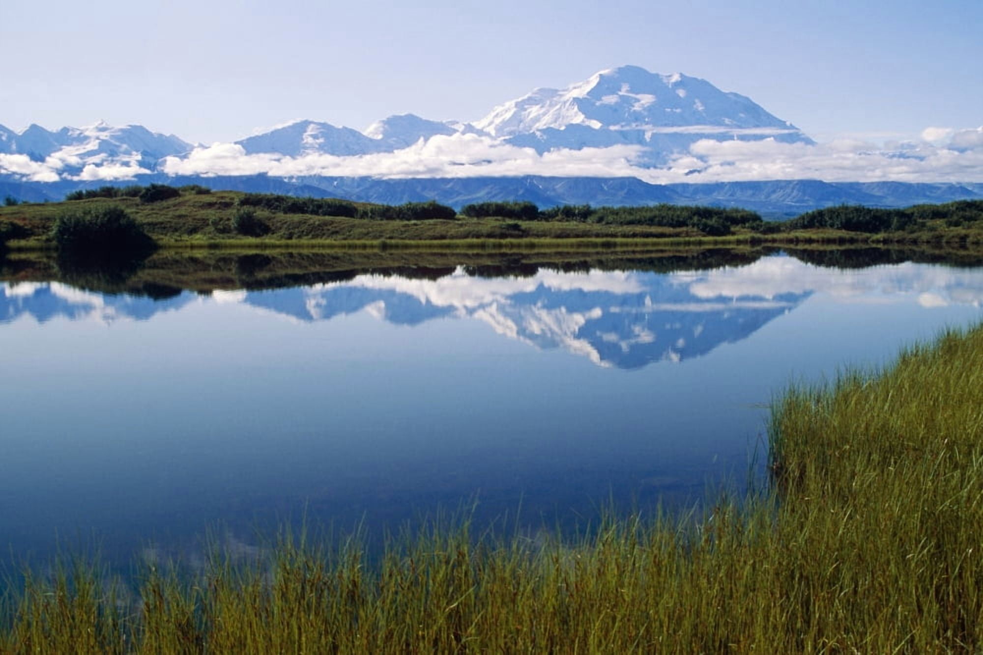 Mt Mckinley Reflected In Tundra Pond Denali Np Ak Canvas Art - John Warden Design Pics (17 x 11)