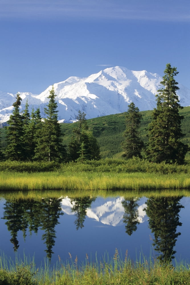 Mt Mckinley Reflecting In Nugget Pond Denali National Park Interior Alaska Summer Canvas Art - Mark Kelley Design Pics (24 x 38)