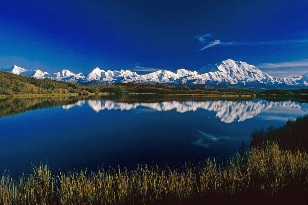 Mt Mckinley Relfected In Wonder Lake Denali National Park Alaska Summer Canvas Art - John Warden Design Pics (17 x 11)