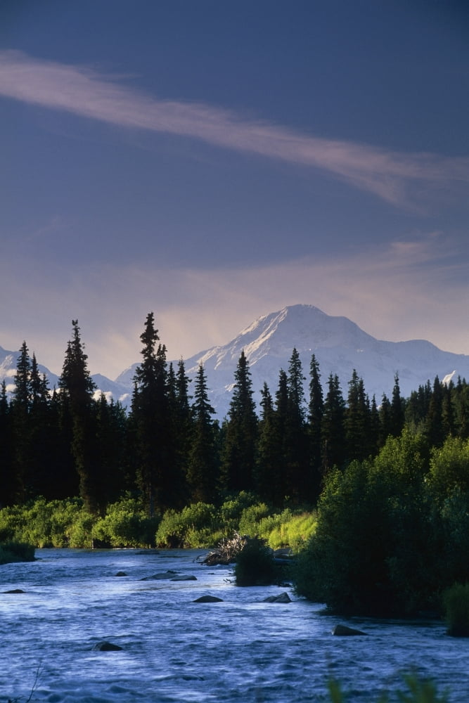 Mt Mckinley W River Summer Scenic Southside View Sc Ak Canvas Art - Wayne Johnson Design Pics (22 x 34)