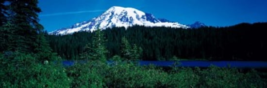 Mt Rainier Mt Rainier National Park WA USA Canvas Art - Panoramic Images (36 x 12)