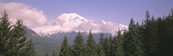 Mt Ranier Mt Ranier National Park WA Canvas Art - Panoramic Images (36 x 12)