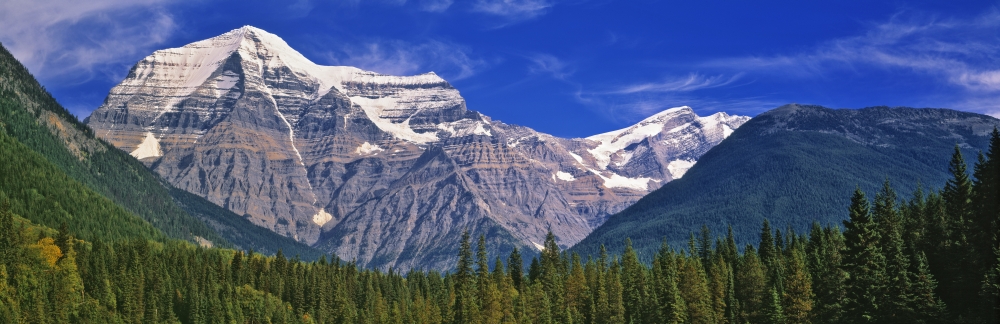 Mt Robson British Columbia Canvas Art - Darwin Wiggett Design Pics (36 x 12)