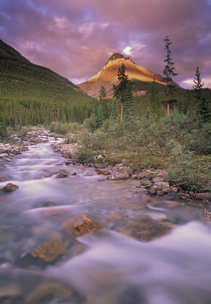 Mt Silverhorn And Silverhorn Creek Banff National Park Alberta Canada Canvas Art - Darwin Wiggett Design Pics (11 x 16)