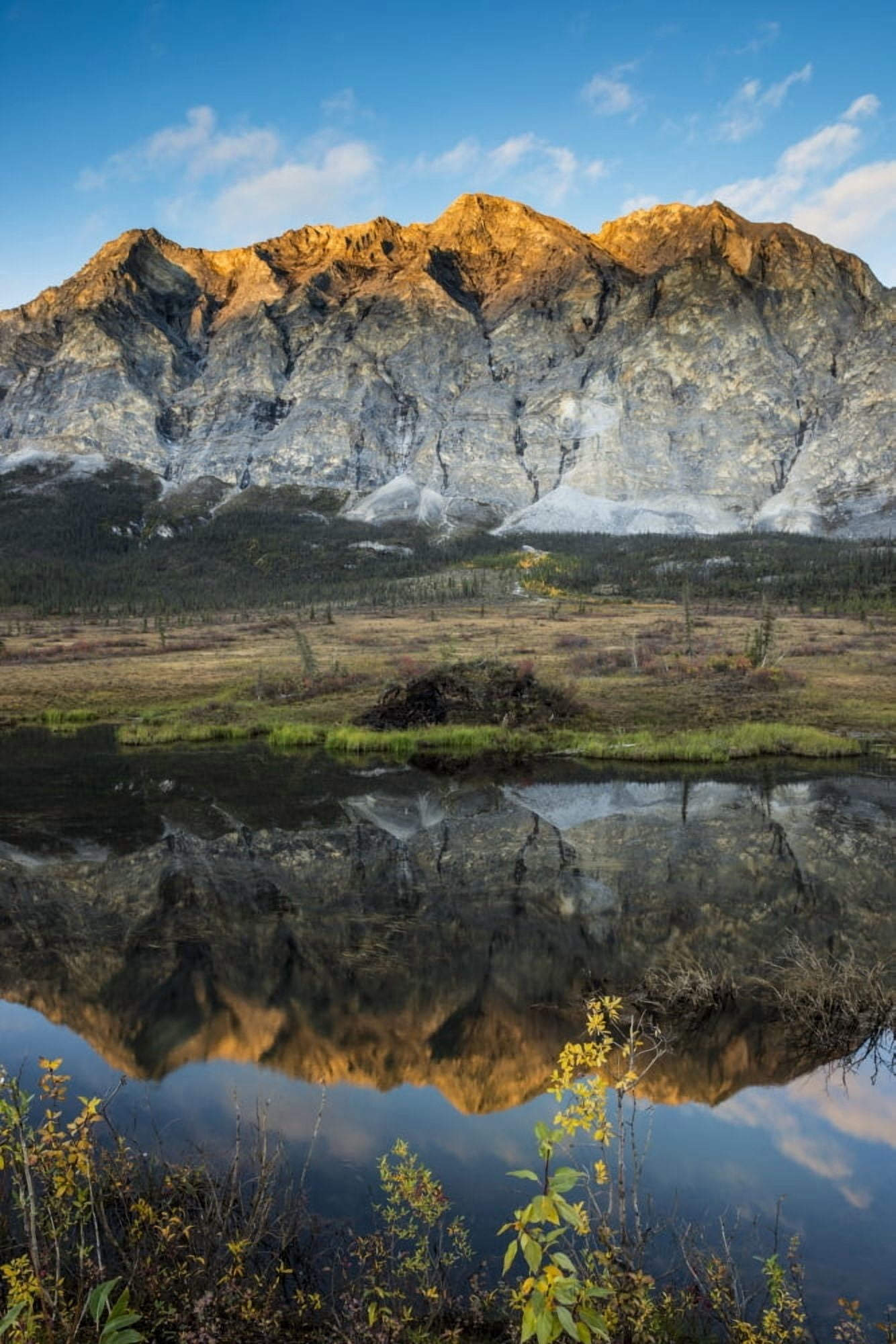Mt Sukakpak catches the last light of the evening north of Wiseman in the Brooks Range Arctic Alaska Canvas Art - Carl Johnson Design Pics (12 x 19)