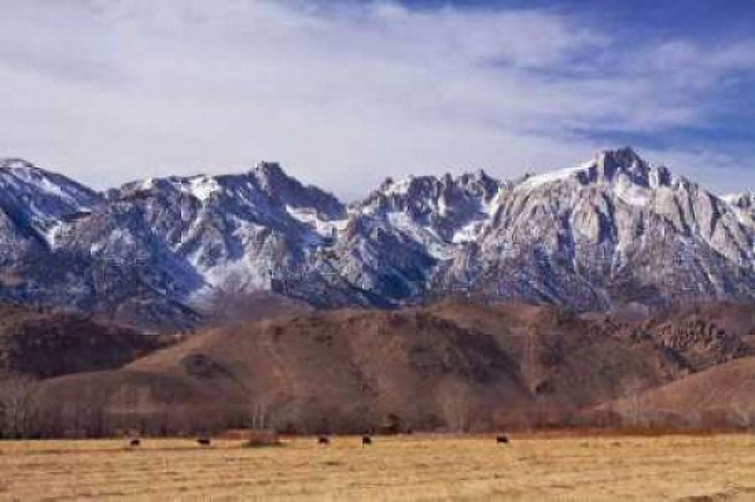 Mt Whitney Range II Canvas Art - Rita Crane (20 x 28)