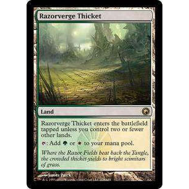 買取相場】-MtG-(英)剃刀境の茂み / Razorverge Thicket【BLC