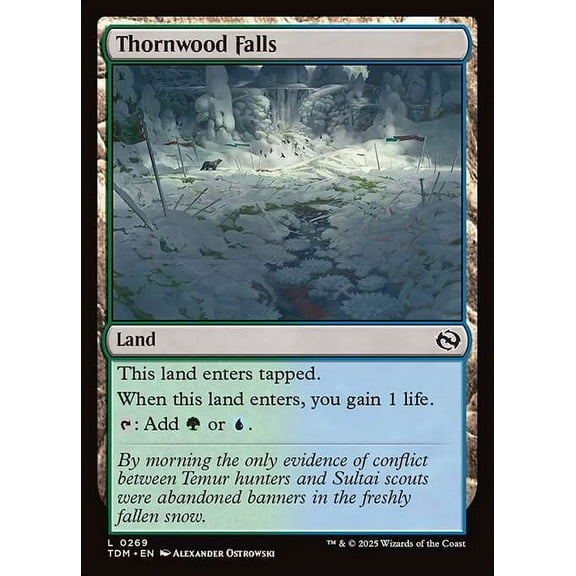 MtG Tarkir: Dragonstorm Common Thornwood Falls #269