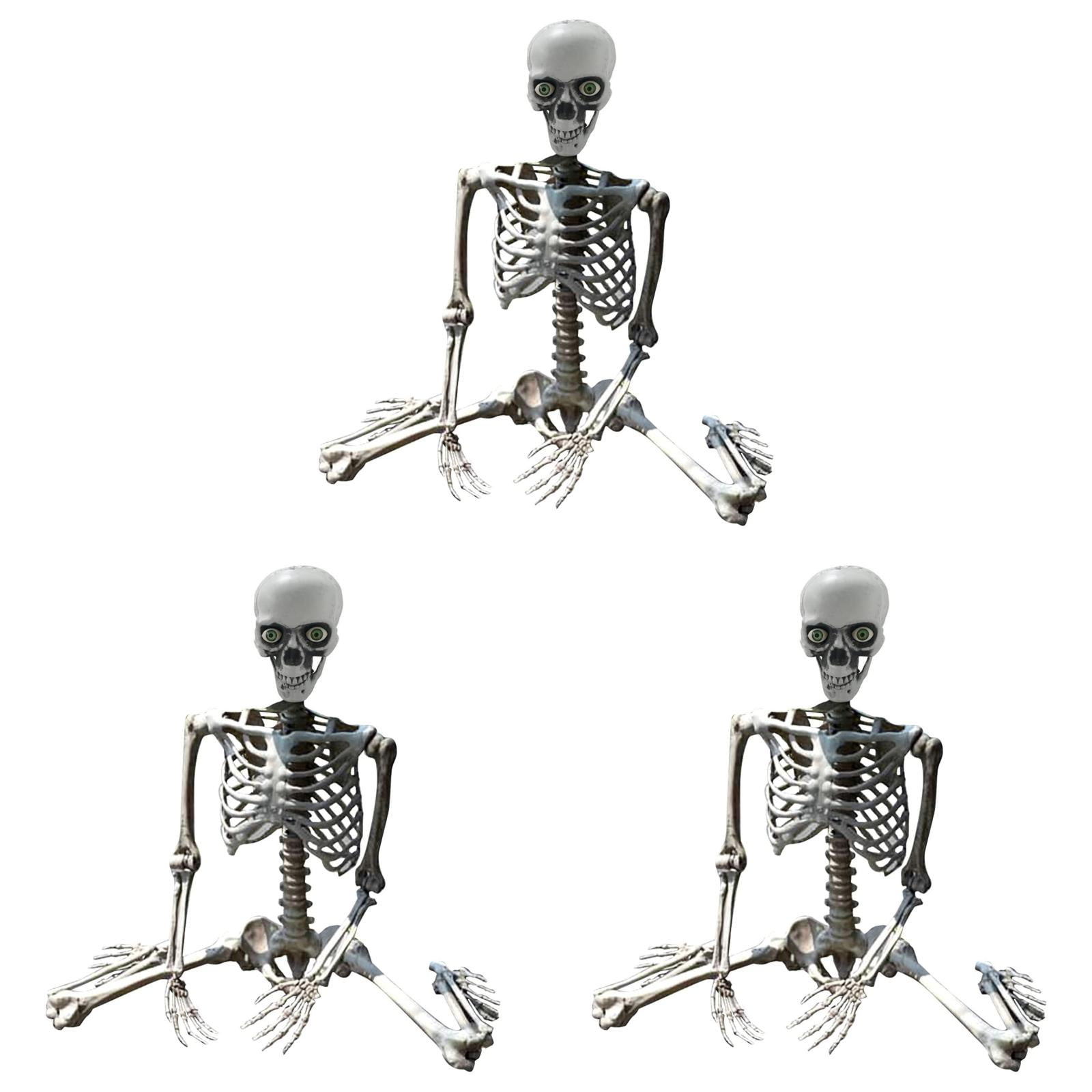 MtsDJSKF Calendar 20242025 Planner Large Skeleton Prop Skeleton Life