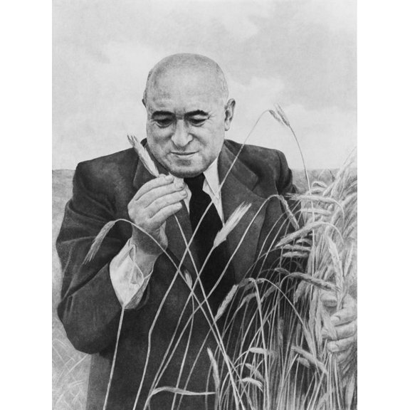 Mtys Rkosi Was The Leader Of Hungary'S Communist Party From 1945 To 1956. In 1956 The Soviet Russian Politburo Pressed For The Removal Of The Oppressive Stalinist Rakosi History (24 x 36)