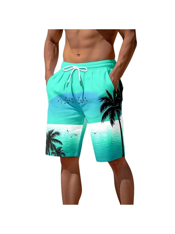 Men's Swim Trunks Quick Dry Bathing Suit Swimming Board Shorts Mesh Lining Bathing Beach Shorts with Pockets