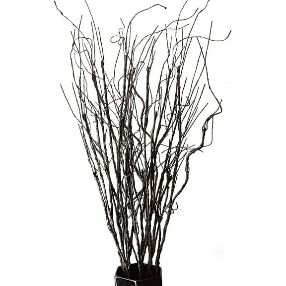 Muchenggift 10PCS Lifelike Curly Willow Branches
