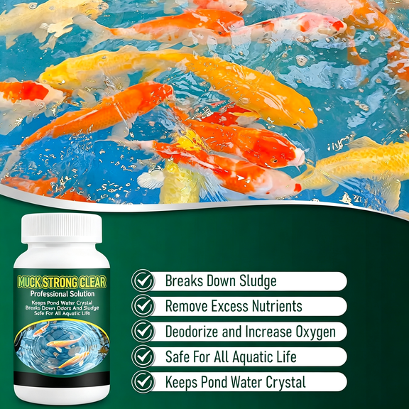 Muck Reducer, Professional for Fishpond, Baths & Fountains, Easy and Efficient, 500 Tablets (500g1pack)