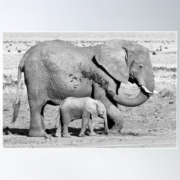 Mud Bath Poster Wall Art, Modern Wall Decor For Living Room Bedroom, 16x24 UNFRAMED