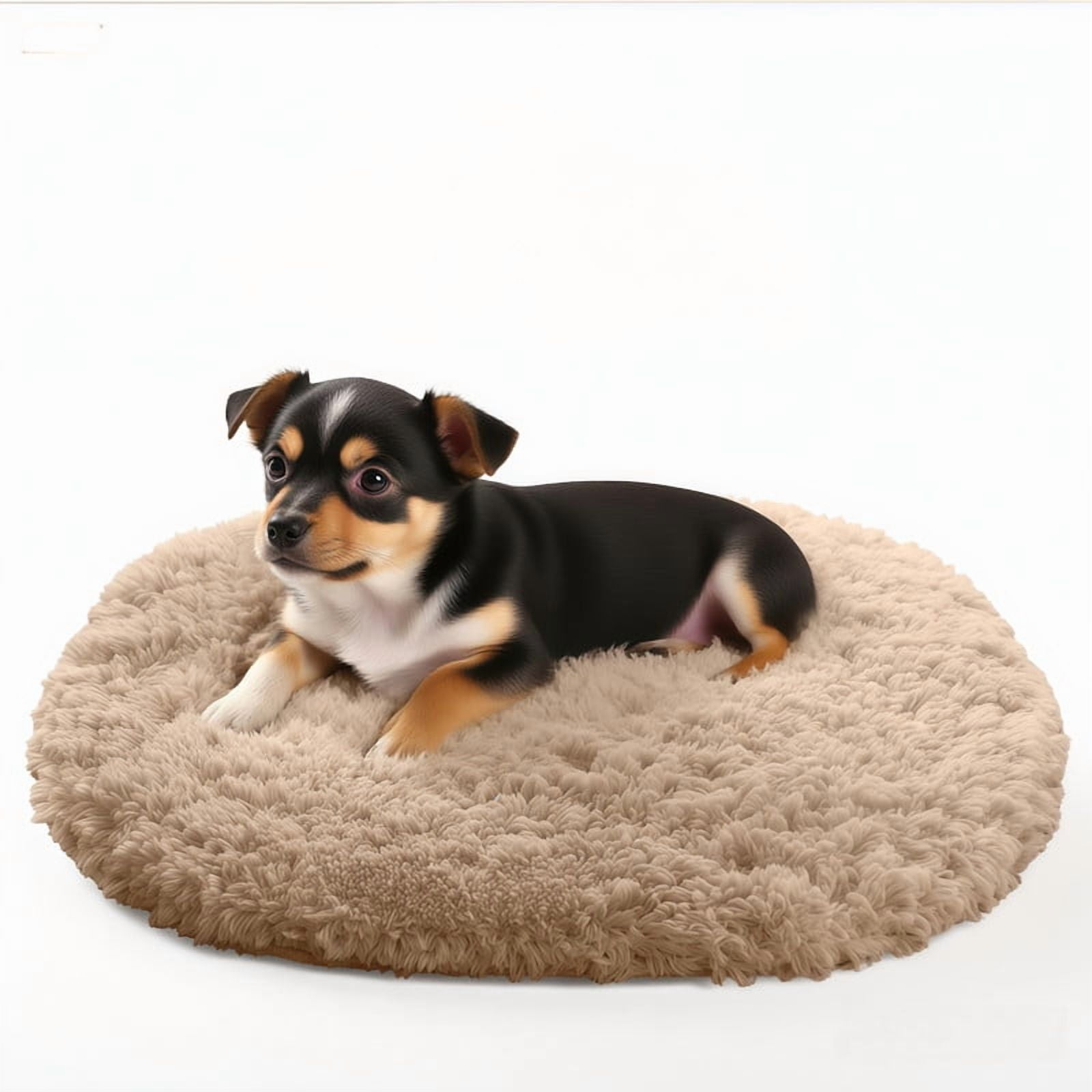 Muddy Cat Rug,Super Absorbent Doormat for Paws - Non Slip Arctic velvet Entryway Rug, Indoor Outdoor Machine Washable Pet Cleaner Mat, Quick Dry Microfiber Rug for Mucky Paws,Beige,47"X20".