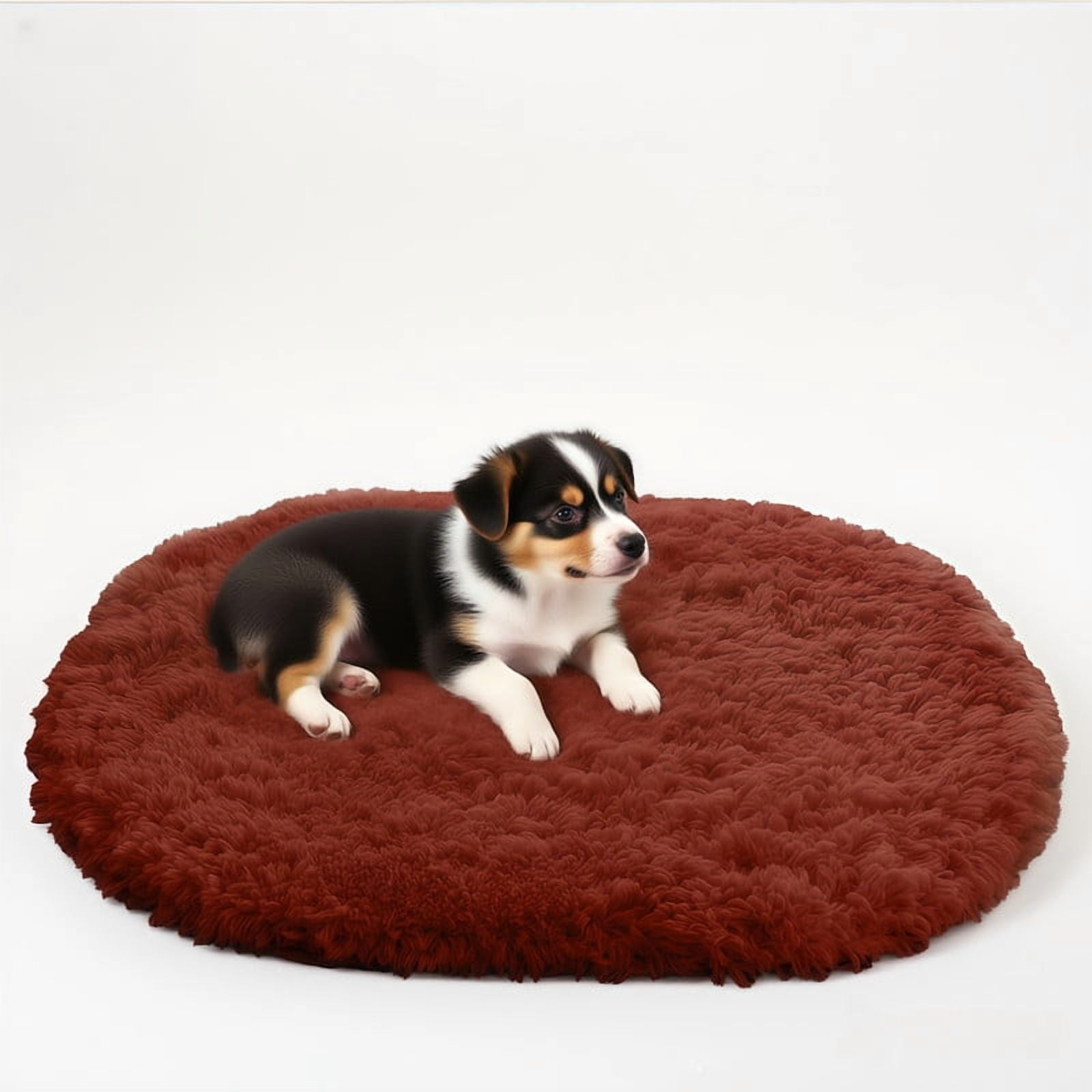 Muddy Cat Rug,Super Absorbent Doormat for Paws - Non Slip Arctic velvet Entryway Rug, Indoor Outdoor Machine Washable Pet Cleaner Mat, Quick Dry Microfiber Rug for Mucky Paws,Coffee,47"X20".