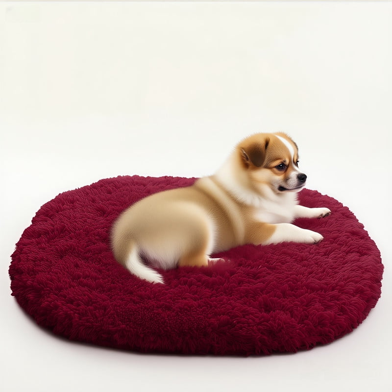 Muddy Cat Rug,Super Absorbent Doormat for Paws - Non Slip Arctic velvet Entryway Rug, Indoor Outdoor Machine Washable Pet Cleaner Mat, Quick Dry Microfiber Rug for Mucky Paws,Claret,24"X16".