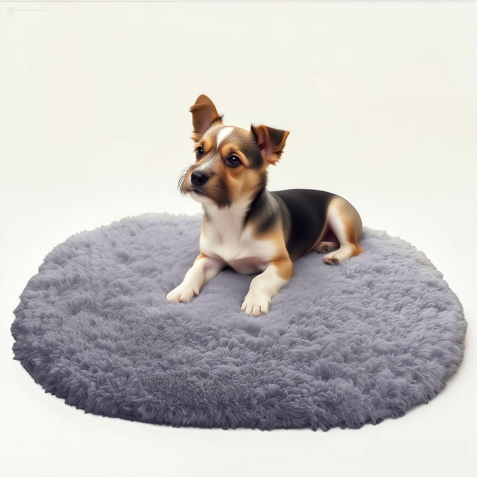 Muddy Cat Rug,Super Absorbent Doormat for Paws - Non Slip Arctic velvet Entryway Rug, Indoor Outdoor Machine Washable Pet Cleaner Mat, Quick Dry Microfiber Rug for Mucky Paws,Dark Gray,31"X20".