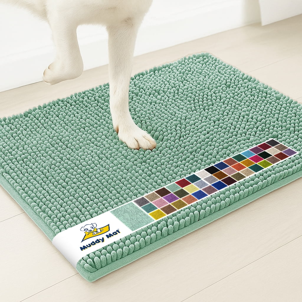Muddy Mat® | Super Water Absorbent Door Mat Indoor, Microfiber Quick Dry Chenille Entryway Rug,Slip Resistant Front Door Mat,Indoor Mats for Entryway,Machine Washable Pet Rug, Seafoam Green 28"x18"