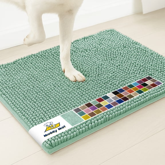 Muddy Mat® | Super Water Absorbent Door Mat Indoor, Microfiber Quick Dry Chenille Entryway Rug,Slip Resistant Front Door Mat,Indoor Mats for Entryway,Machine Washable Pet Rug, Seafoam Green 28"x18"