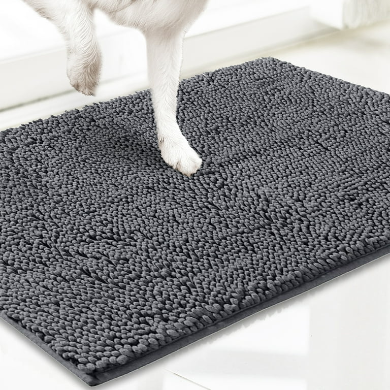 HOMEIDEAS Absorbent Door Mat, Chenille Soft Washable Dog Welcome Rug for  Entryway, Front Muddy Doormat (Grey, 24x36)