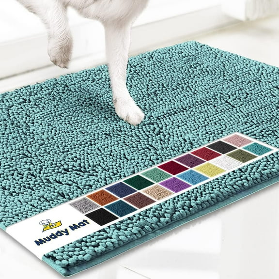 Muddy Mat® | Super Absorbent Door Mat Indoor, Microfiber Quick Dry Chenille Entryway Rug, Non-Slip Front Door Mat, Indoor Mats for Entryway, Machine Washable Pet Rug, Sea Green 24"x36"