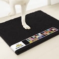 Water Absorbent Machine Muddy Mat, Doorway Rug, 24