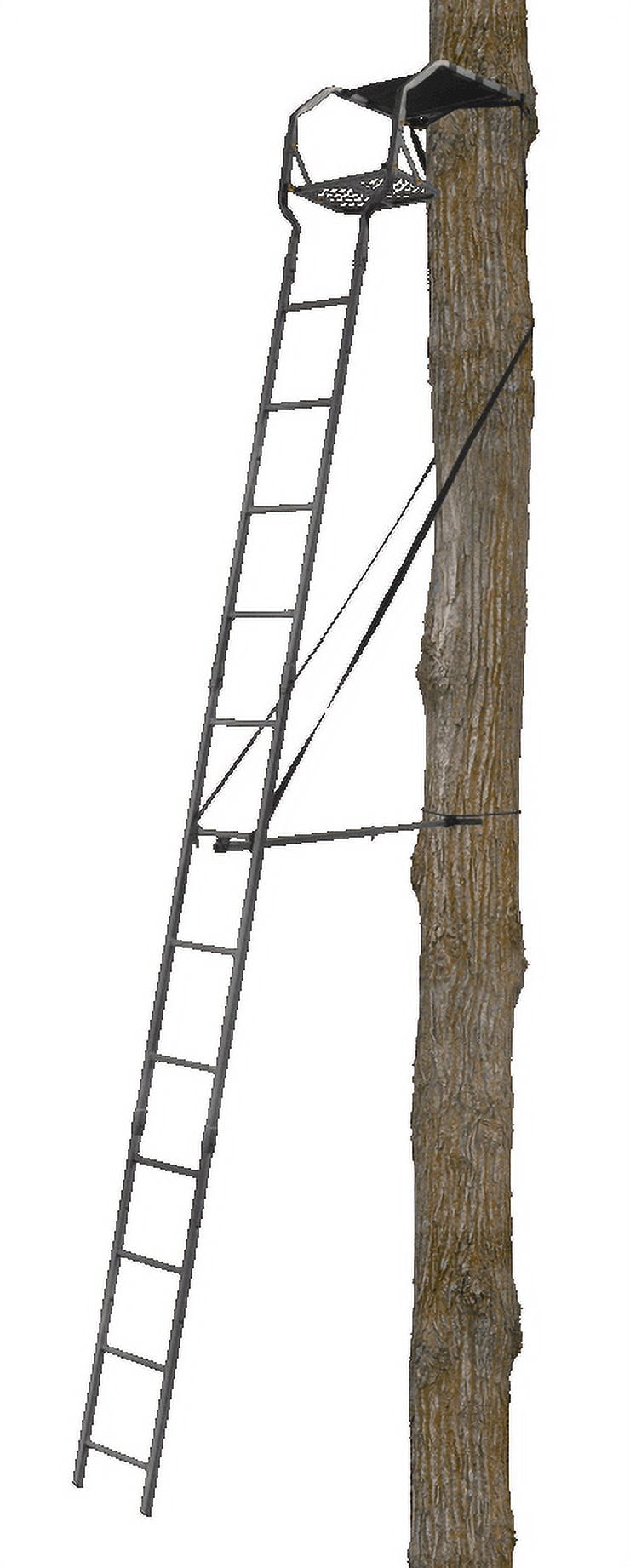 Muddy One Person Ladder Treestand