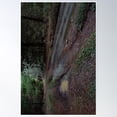 thumbnail image 1 of Muddy Road Through Forest Poster Wall Art, Modern Wall Decor, 24x36 UNFRAMED, 1 of 3