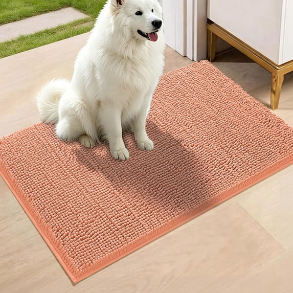 Muddy Rug,Super Water Absorbent Door Mat Indoor, Microfiber Quick Dry Chenille Entryway Rug, Slip Resistant Front Door Mat, Indoor Mats for Entryway, Machine Washable Pet Rug