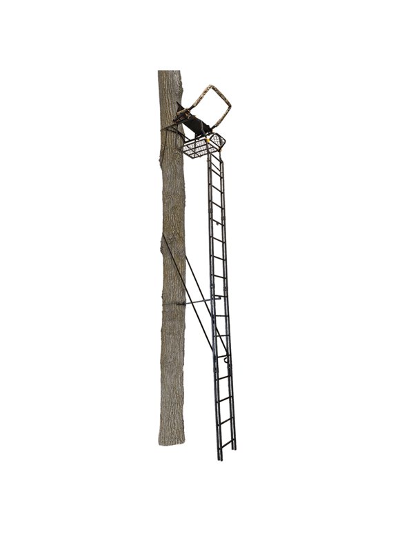 Ladder Treestands in Treestands