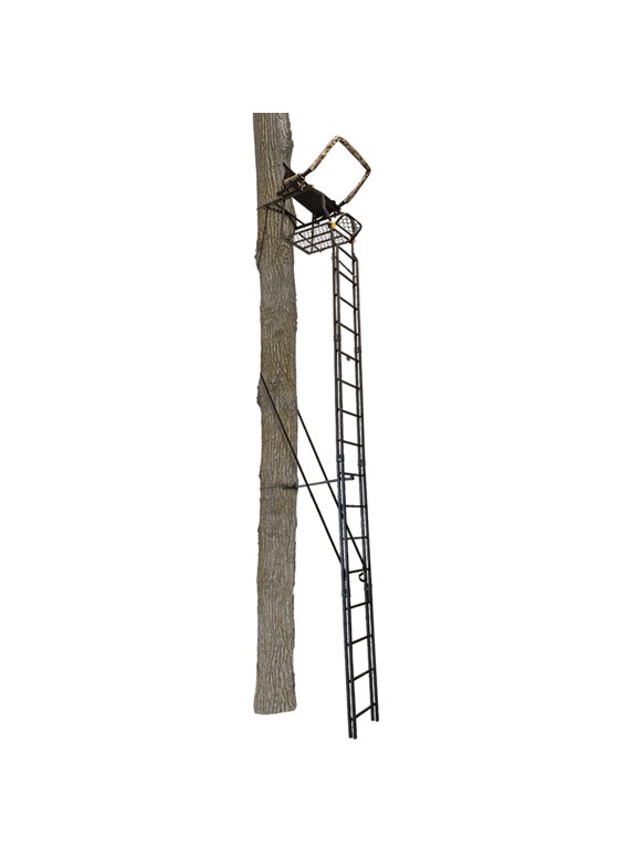 Ladder Treestands in Treestands