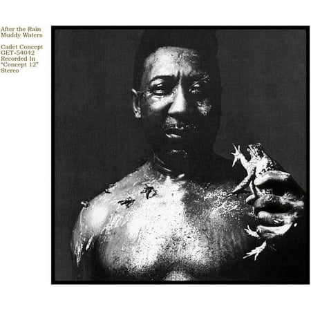 Muddy Waters - After the Rain - Vinyl