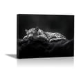 thumbnail image 1 of Mudket Black White Sleeping Leopard on Rock Canvas Wall Art, Moody Monochrome Wildlife Paintings for Bedroom Print for Office Living Room Home Decor , Framed Ready to Hang - 12"L x 8"W, 1 of 9