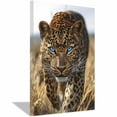 thumbnail image 1 of Mudket Framed Leopard Canvas Wall Art, Blue Eyes Cheetah Print Wall Decor, Safari Animal Pictures, Ready to Hang for Living Room Bedroom - 12"L x 8"W, 1 of 10
