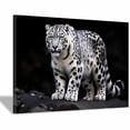thumbnail image 1 of Mudket Framed Snow Leopard Canvas Wall Art, Black and White Animal Print Wall Decor for Men Living Room, Trendy Leopard Wall Art, Ready to Hang - 12"L x 8"W, 1 of 10