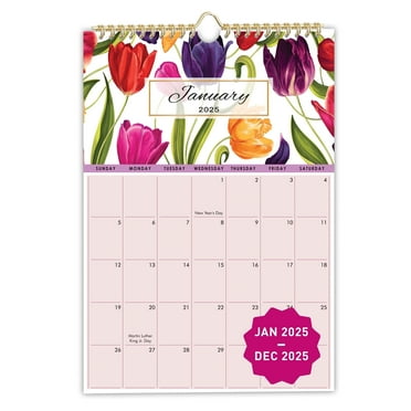 Mudrit 2025 Wall Calendar, 12" x 17", 12 Months Jan 2025 - Dec 2025, Spiral Bound, 1 Count