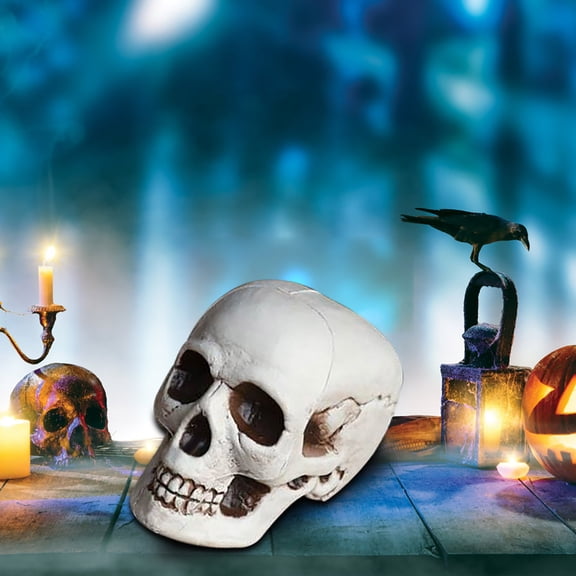 Muecwrye Halloween Skeleton, Small Skulls Halloween Decor, 5 Inch Plastic Fake Skeletons, Mini Skulls for Crafts Outdoor Halloween Decorations, Realistic Miniature Human Skull Heads